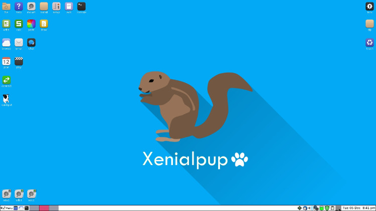 Xenialpup